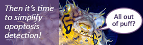 Simply the best assays for apoptosis!